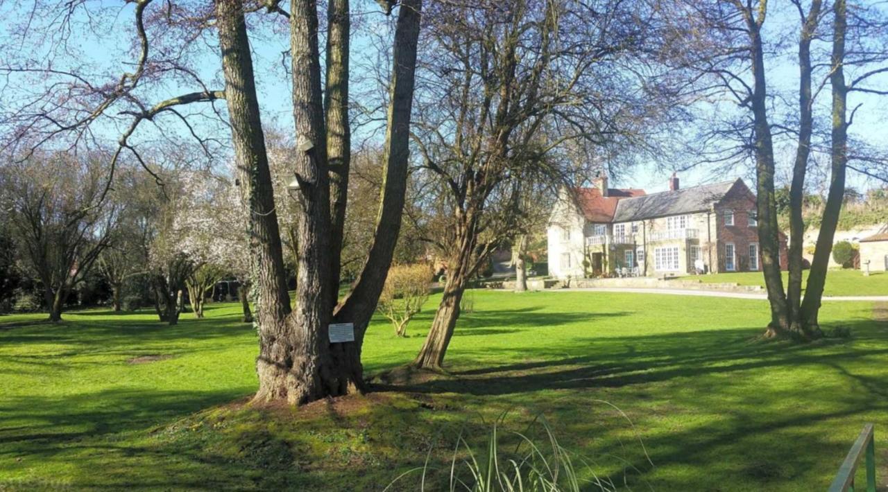 17Th-Century One Bed Studio With Parking & Garden! Elkesley Exteriér fotografie