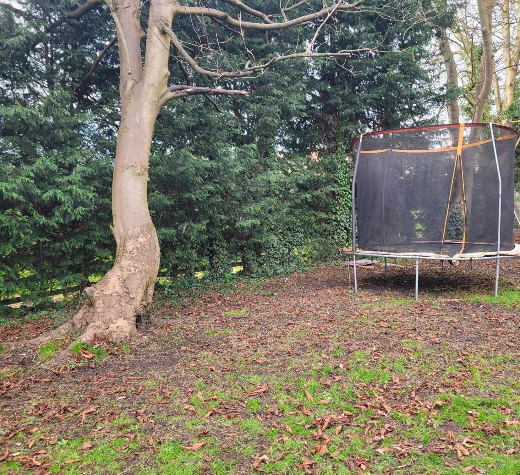 17Th-Century One Bed Studio With Parking & Garden! Elkesley Exteriér fotografie